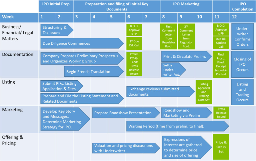 CSE the IPO Process copy